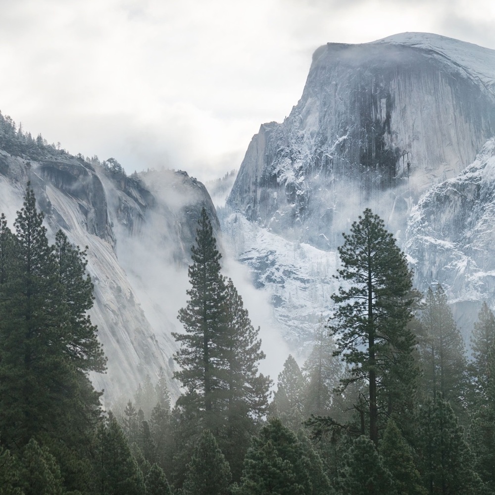 Meet your Posher, Hyatt